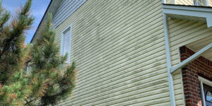 Power Washing Services