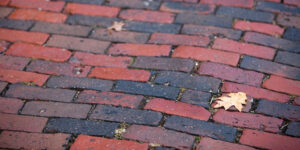Power Washing Services