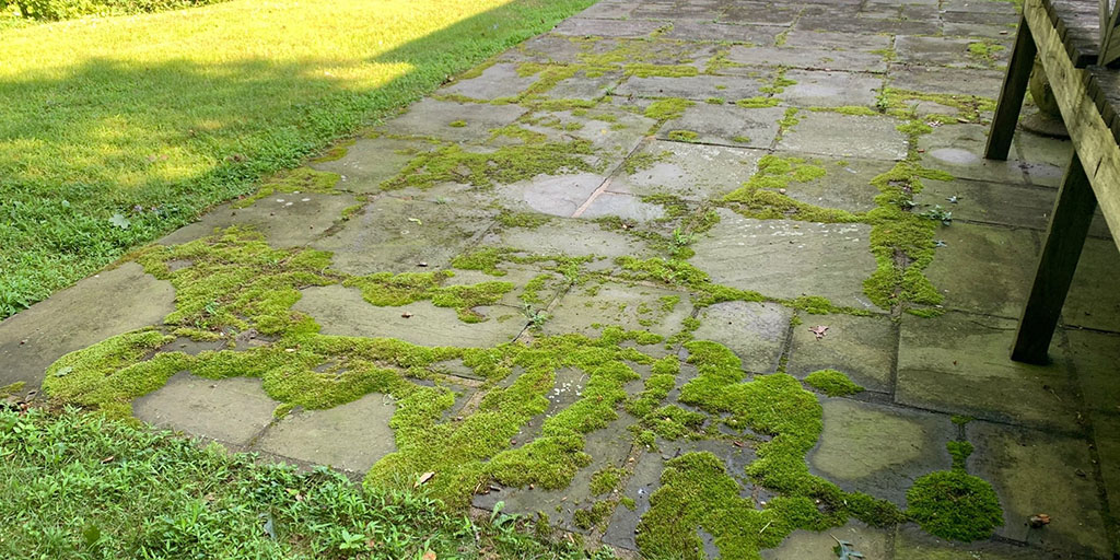 Power Washing in Nassau County Power Washing Nassau County